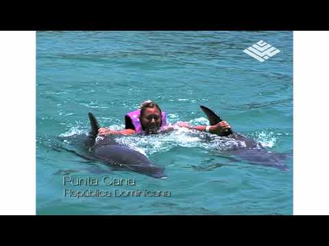 Video y música de Abordaje - Copa Airlines