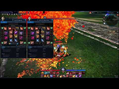 TERA PVP: Ninja did almost one combo on berserker
