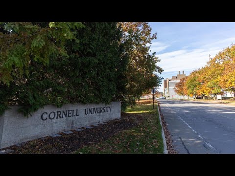 What to know as criminal probe reopened into alleged 2024 Cornell gang rape
