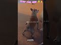 Dila Teer Bija Ppp Song Dijan Teer Bija HD Song Shortvideo