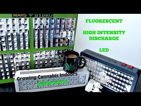 Growing Cannabis Indoors: Grow Lights (LED, HID, CFL)