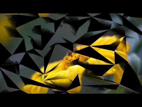 Măng non hướng dương - Bé Bảo Thy