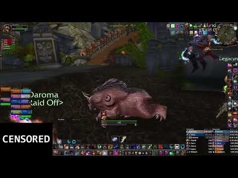 WoW TBC Raid Off - Faerlina Feral Druid | Zul'Aman