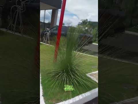 Área nobre em Rio Verde Goiás