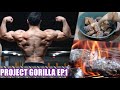 Back & Biceps | Project Gorilla EP.1
