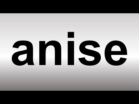 How to Pronounce Anise