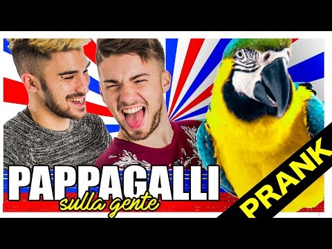 Come liberarsi da risposte di rimedi di gente di parassiti Norma di se su un lyambliya