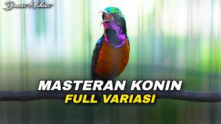 Download lagu MASTERAN KOLIBRI NINJA FULL VARIASI MEWAH COCOK UNTUK TEMBAKAN KASAR BURUNG MURAI BATU mp3