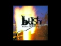 Bush - Personal Halloway