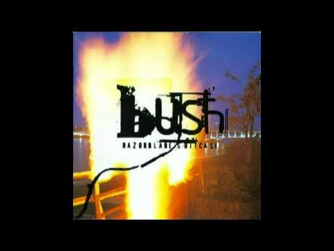 Videoclip de Personal Holloway (Remastered) — Bush