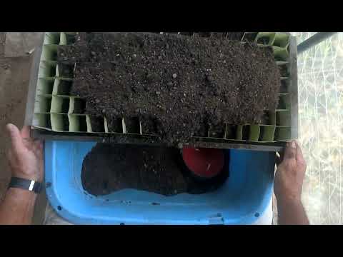 種子 (農業) - 定義