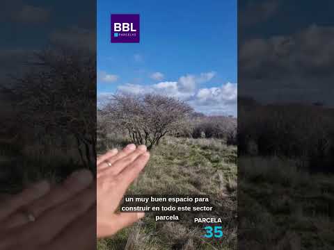📍 Parcela N°35 – Hacienda Cauquenes