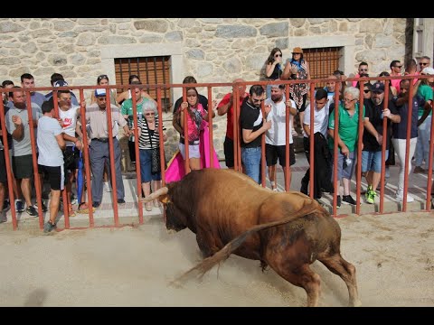 I Toro de Cajón en Villaseco de los Reyes / MARIBEL SÁNCHEZ 