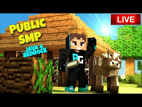 Exclusive Sub-Only Java & Bedrock SMP!