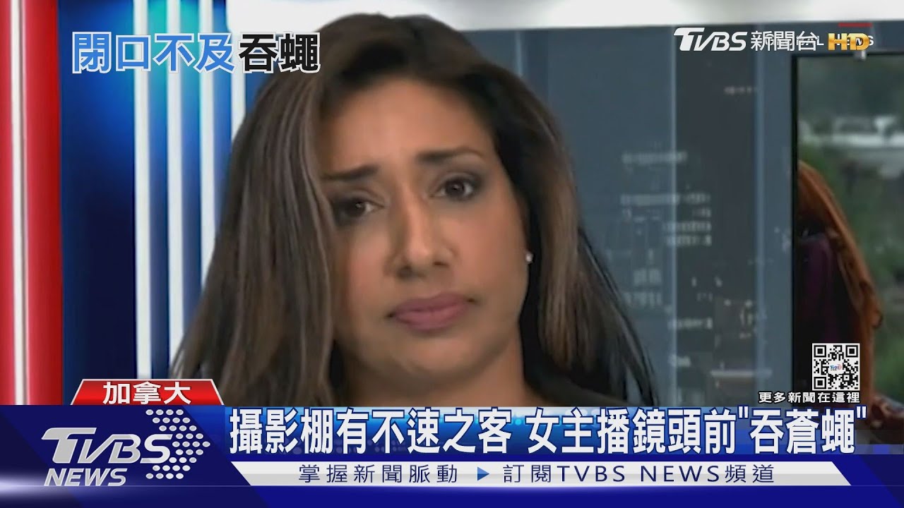 攝影棚響「蒼蠅空襲警報」 加拿大主播閃避不及一口吞