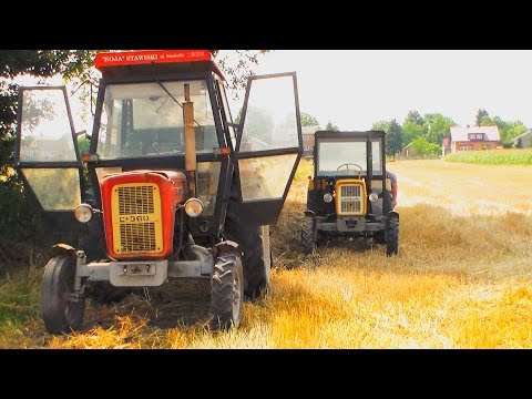 Prace Pożniwne ! URSUS C-360 & C-330 M ☺ Głuchów Team