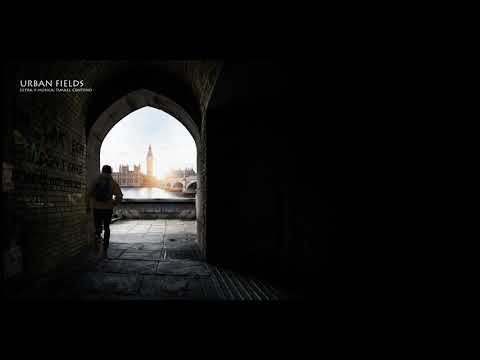 Urban Fields - In Lak'Ech