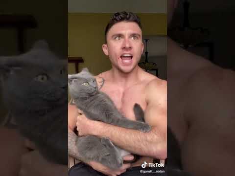 Cat bites man face
