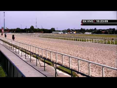 REUNION  29/12/2022-  HIPODROMO  LAS PIEDRAS -