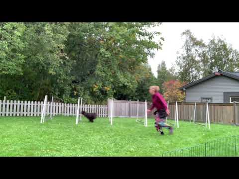 Bravo 2019.09.22 Basic grid