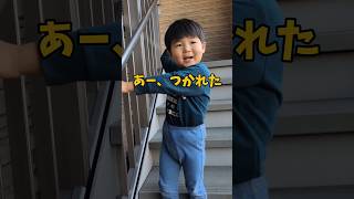 【育児あるある】いい報告＝だいたい信用できない😂 #あるある #3歳 #パパ