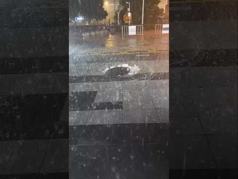 Ela ficou presa no esgoto...😱 #shorts