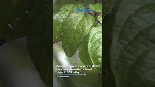 Prakiraan Cuaca dari BMKG Besok 17 Maret 2023, Waspada 32 Wilayah Berpotensi Terjadi Hujan dan Angin