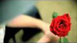 alesana ambrosia+icarus