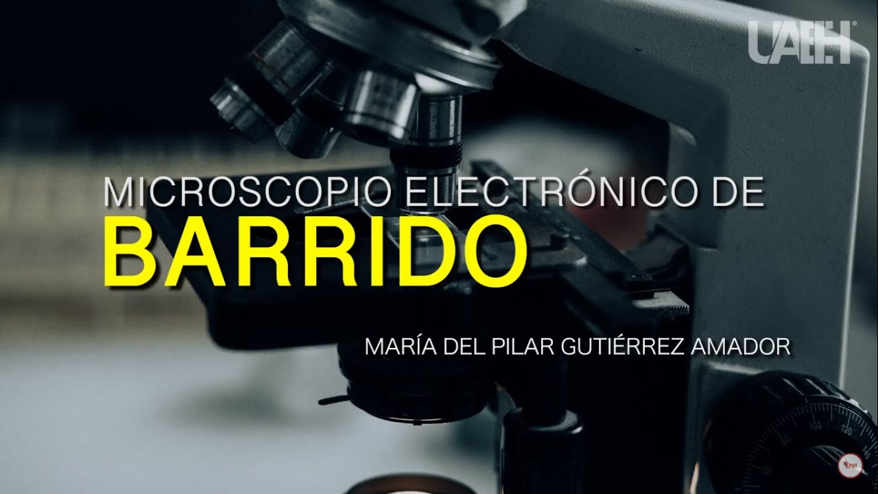 Microscopio Electrónico de Barrido