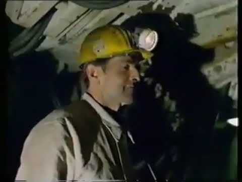 Der deutsche Steinkohlebergbau. Keimzelle unseres Wohlstandes!