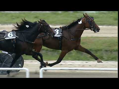 Napoli Trotto 01/06/2023 - 6ª corsa