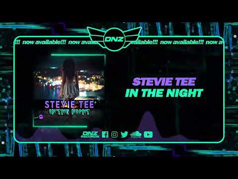 DNZF1396 // STEVIE TEE - IN THE NIGHT (Official Video DNZ Records)