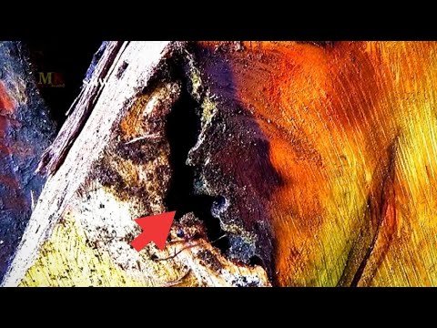 Jackfruit wood like this is very expensive. sawmill