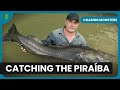 Fishing In The Amazon Rain Forest Chasing Monsters Nature Adventure Documentary