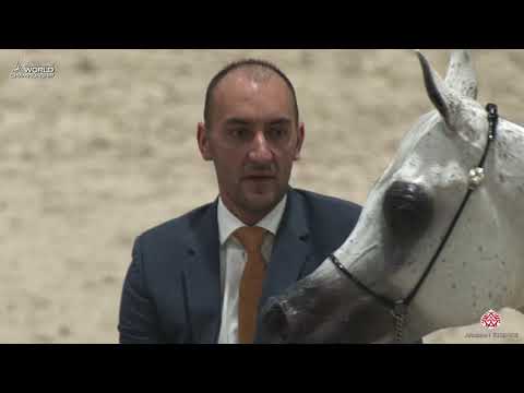 N 80 MAISA AL NASSER   Paris 2019   Senior Females Class 3B