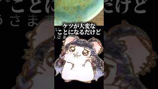 【神回】機材トラブルで“激辛麺ケツ爆発配信”をすることになったメロ太郎(狂蘭メロコ)まとめ。【#melocokyoran / #狂蘭メロコ / にじさんじEN / 切り抜き】