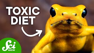 7 Species That Really Are What They Eat