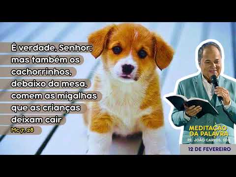 12 de fevereiro - 🚨. Meditação da Palavra do Senhor