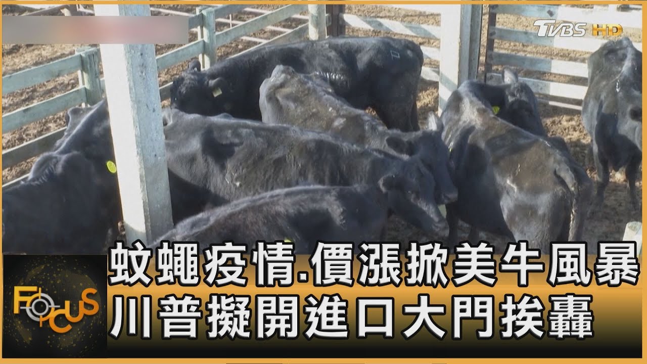 蚊蠅疫情.價漲掀美牛風暴 川普擬開進口大門挨轟