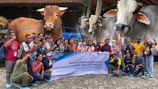 Download lagu THANKS TO UGM!! CATTLE FARMERS FROM ALL OVER INDONESIA RABBIT THE CAGE mp3
