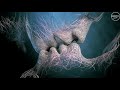 Melodic Techno Progressive House Mix 2019 Eye To Eye Electro Junkiee Mix
