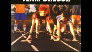 Team Dresch - 06 Fake Fight