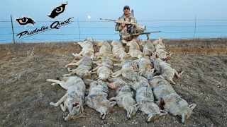 Calling in Multiple Coyotes! 16 Multiple Coyote Kills in One Day!!  Quad Coyotes 4-7!!