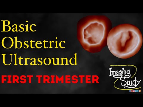Basic Obstetric Ultrasound: First Trimester Pregnancy