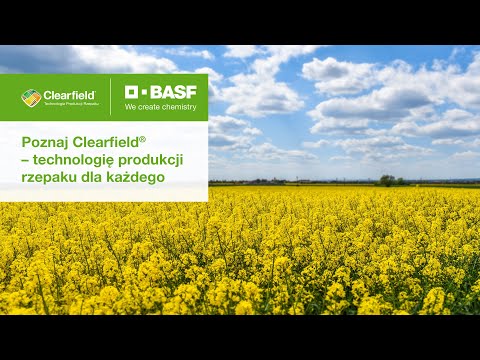 Poznaj Clearfield® – technologię produkcji rzepaku ozimego