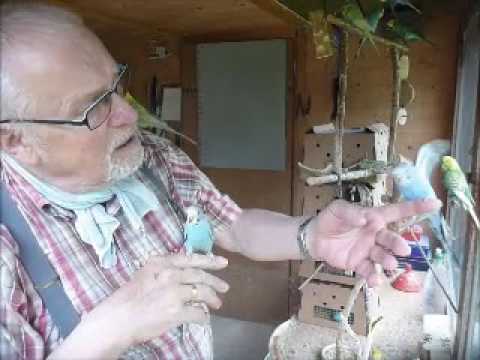 2017 07 11 In the Box