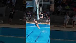 Sumo Diving Championship 2026: The Ultimate Splashdown