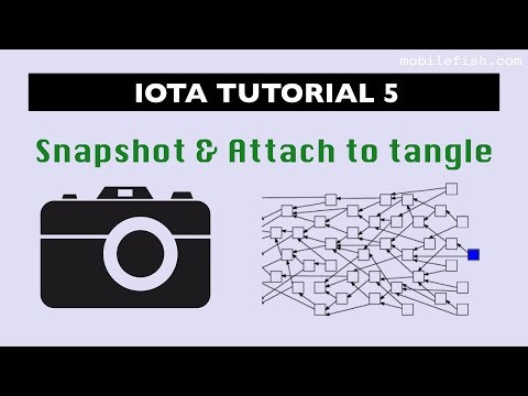 IOTA tutorial 5: Snapshot and Attach to tangle