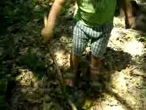 Rudnicki Aleksander 2