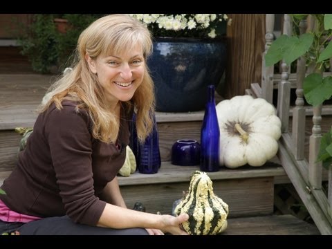 Gina's Fall Gardening Challenge:  A Waterfall of Blue